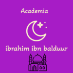 Ibrahim Baldurr academia